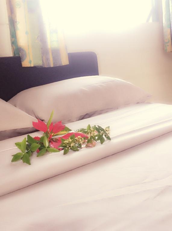 Green Lodge Holiday Homes 누쿠알로파 외부 사진
